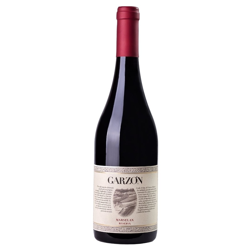 Bodega Garzn | Reserva Marselan