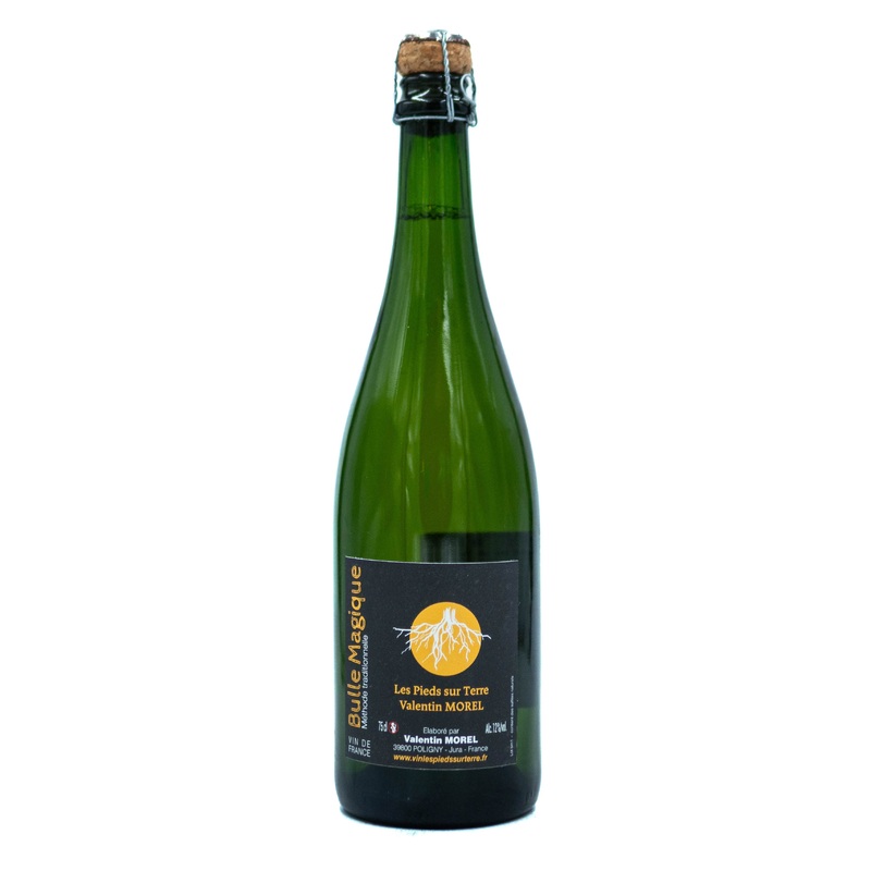 Valentin Morel Les Pieds sur Terre Bulle Magique 2019