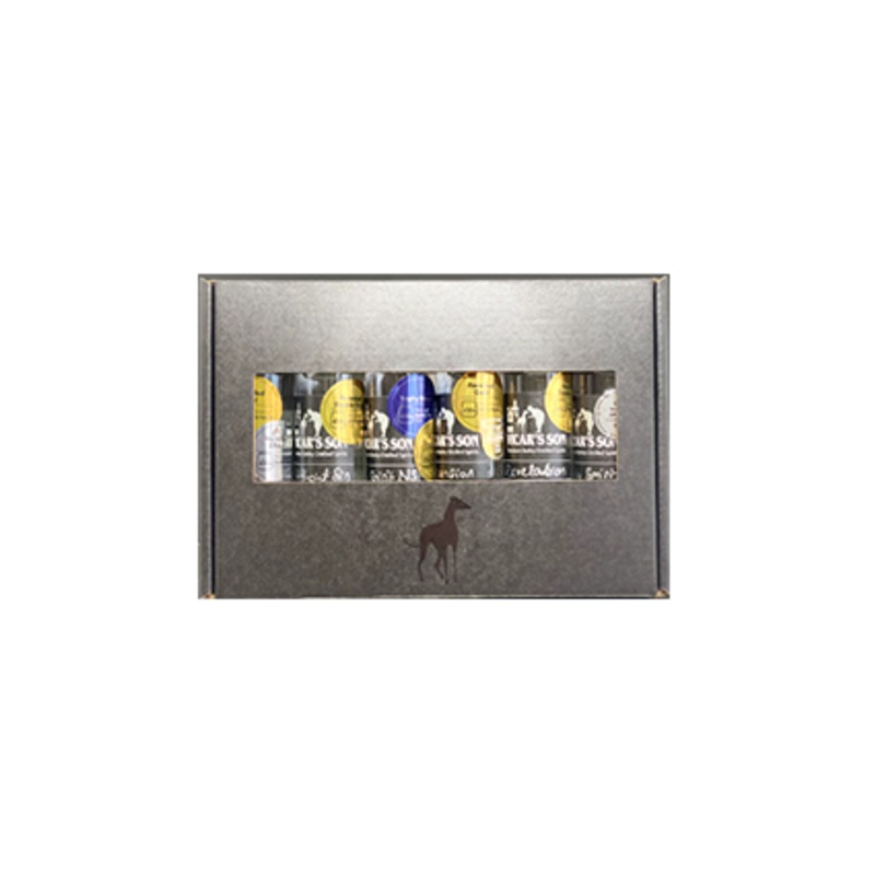 Vicar’s Son Gin Set 6 x 50ml