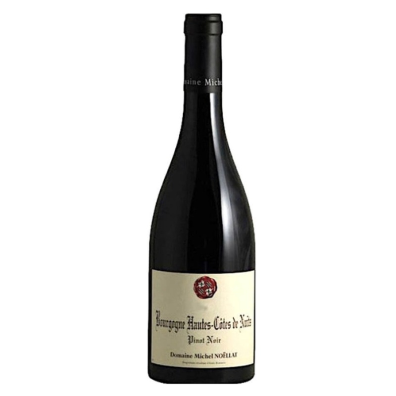 2019 Domaine Michel Noellat et Fils Bourgogne Hautes Cotes de Nuits Pinot Noir 750ml