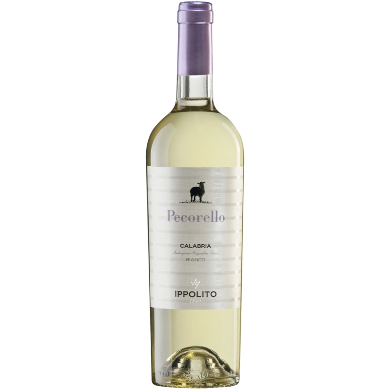 Ippolito – Pecorello Bianco 75cl