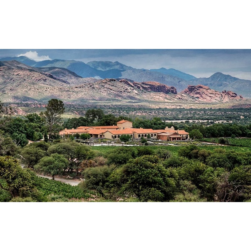 ‘Elevation of Taste’ Event 11/8/2025