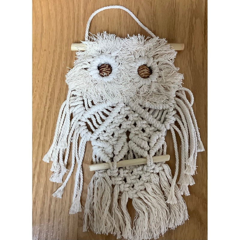 Small Macrame Owl Wall  Hanging by Nancy