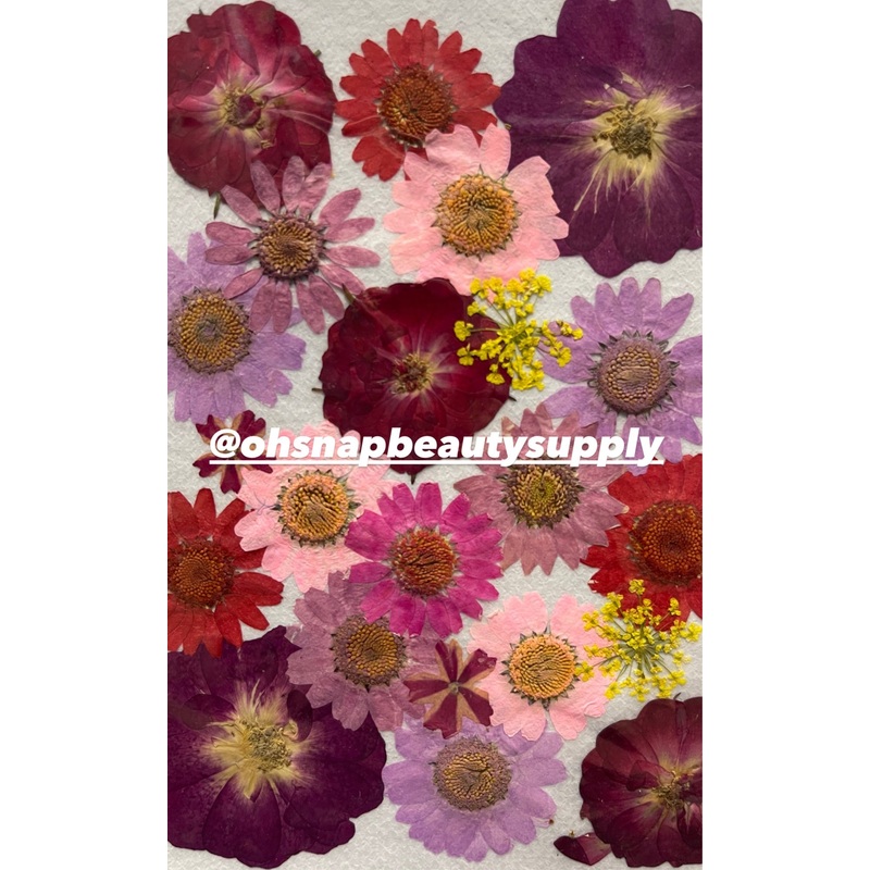 RED FALL MIX – Large Dried Flowers