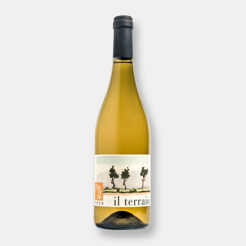 Paterna Il Terraio Bianco