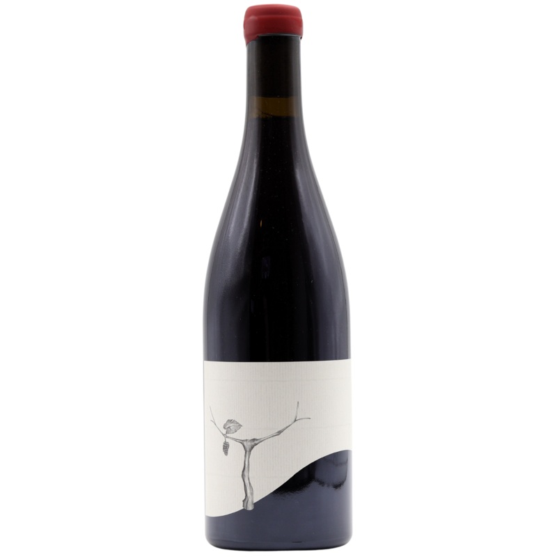 TATURRY – BANJO PINOT NOIR