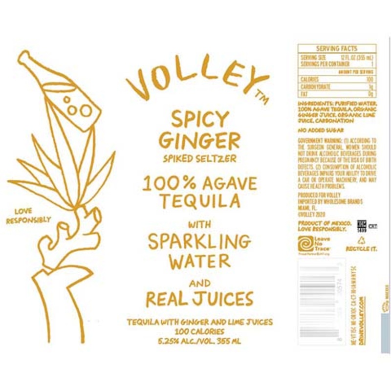 Volley Spicy Ginger Spiked Seltzer