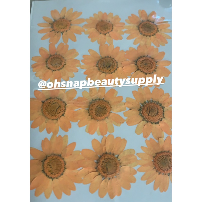 Orange – Large Dried Flowers