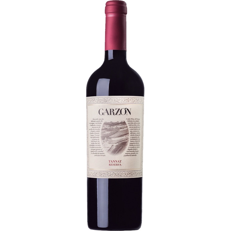 2019 Bodega Garzon Reserva Tannat